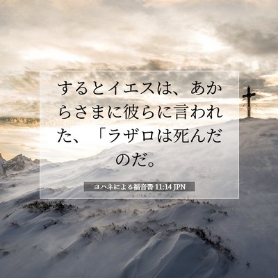 Picture 07 - ヨハネによる福音書 11:14 JPN - するとイエスは、あからさまに彼ら - Bible Verse Picture