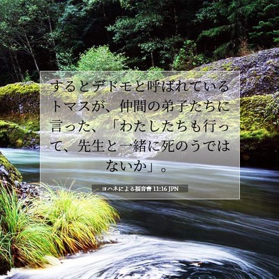Picture 07 - ヨハネによる福音書 11:16 JPN - するとデドモと呼ばれているトマス - Bible Verse Picture
