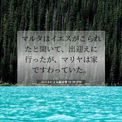 Picture 07 - ヨハネによる福音書 11:20 JPN - マルタはイエスがこられたと聞いて - Bible Verse Picture