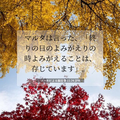 Picture 07 - ヨハネによる福音書 11:24 JPN - マルタは言った、「終りの日のよみ - Bible Verse Picture