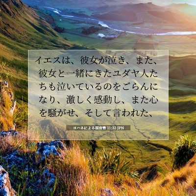 Picture 07 - ヨハネによる福音書 11:33 JPN - イエスは、彼女が泣き、また、彼女 - Bible Verse Picture