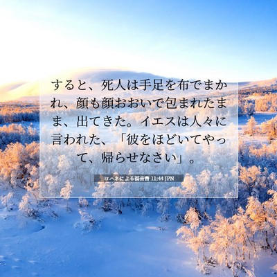 Picture 07 - ヨハネによる福音書 11:44 JPN - すると、死人は手足を布でまかれ、 - Bible Verse Picture