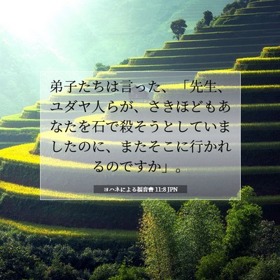 Picture 07 - ヨハネによる福音書 11:8 JPN - 弟子たちは言った、「先生、ユダヤ - Bible Verse Picture
