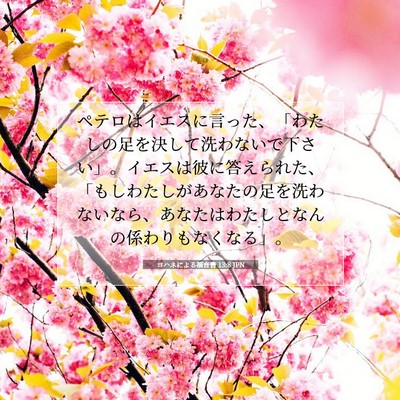 Picture 07 - ヨハネによる福音書 13:8 JPN - ペテロはイエスに言った、「わたし - Bible Verse Picture