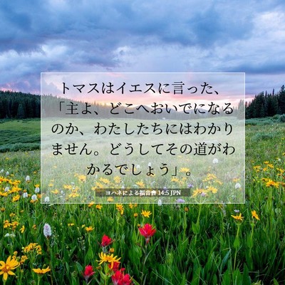 Picture 07 - ヨハネによる福音書 14:5 JPN - トマスはイエスに言った、「主よ、 - Bible Verse Picture