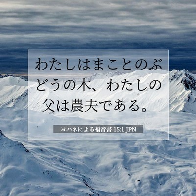 Picture 07 - ヨハネによる福音書 15:1 JPN - わたしはまことのぶどうの木、わた - Bible Verse Picture