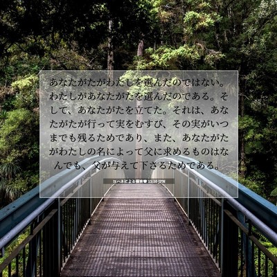 Picture 07 - ヨハネによる福音書 15:16 JPN - あなたがたがわたしを選んだのでは - Bible Verse Picture
