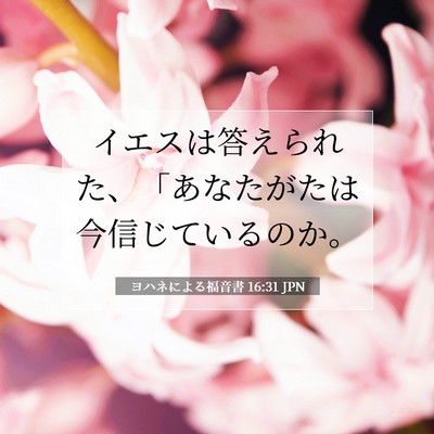 Picture 07 - ヨハネによる福音書 16:31 JPN - イエスは答えられた、「あなたがた - Bible Verse Picture