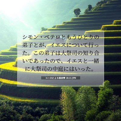 Picture 07 - ヨハネによる福音書 18:15 JPN - シモン・ペテロともうひとりの弟子 - Bible Verse Picture