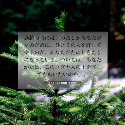 Picture 07 - ヨハネによる福音書 18:39 JPN - 過越の時には、わたしがあなたがた - Bible Verse Picture