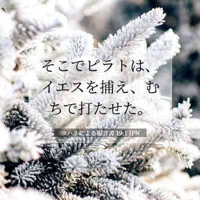 Picture 07 - ヨハネによる福音書 19:1 JPN - そこでピラトは、イエスを捕え、む - Bible Verse Picture