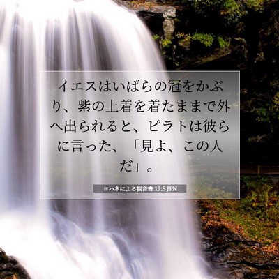 Picture 07 - ヨハネによる福音書 19:5 JPN - イエスはいばらの冠をかぶり、紫の - Bible Verse Picture