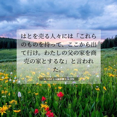 Picture 07 - ヨハネによる福音書 2:16 JPN - はとを売る人々には「これらのもの - Bible Verse Picture