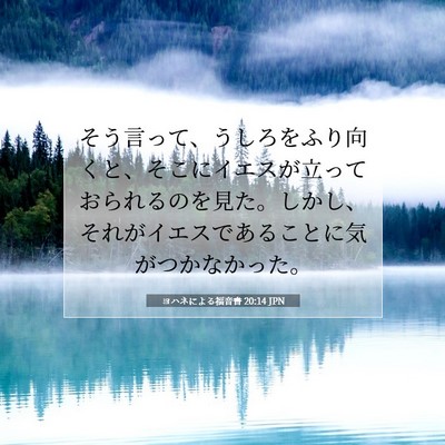 Picture 07 - ヨハネによる福音書 20:14 JPN - そう言って、うしろをふり向くと、 - Bible Verse Picture