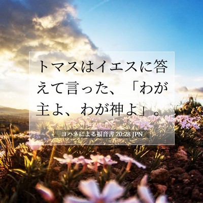 Picture 07 - ヨハネによる福音書 20:28 JPN - トマスはイエスに答えて言った、「 - Bible Verse Picture