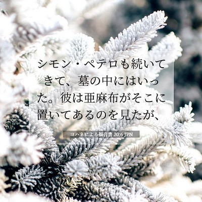 Picture 07 - ヨハネによる福音書 20:6 JPN - シモン・ペテロも続いてきて、墓の - Bible Verse Picture