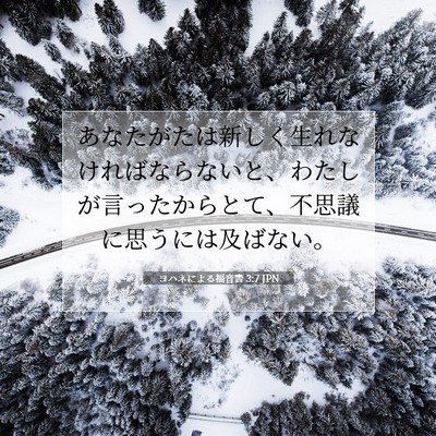Picture 07 - ヨハネによる福音書 3:7 JPN - あなたがたは新しく生れなければな - Bible Verse Picture