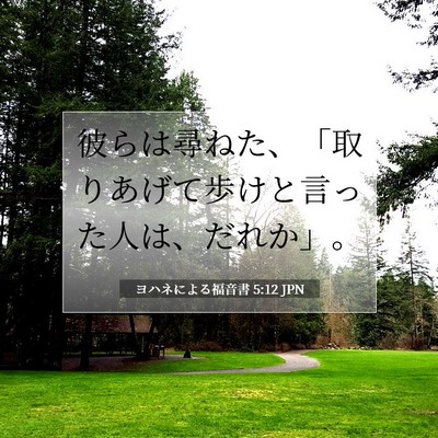 Picture 07 - ヨハネによる福音書 5:12 JPN - 彼らは尋ねた、「取りあげて歩けと - Bible Verse Picture
