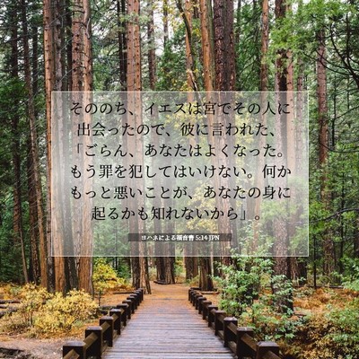 Picture 07 - ヨハネによる福音書 5:14 JPN - そののち、イエスは宮でその人に出 - Bible Verse Picture