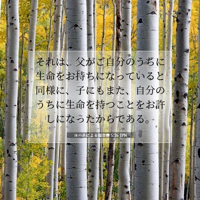 Picture 07 - ヨハネによる福音書 5:26 JPN - それは、父がご自分のうちに生命を - Bible Verse Picture