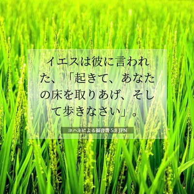 Picture 07 - ヨハネによる福音書 5:8 JPN - イエスは彼に言われた、「起きて、 - Bible Verse Picture