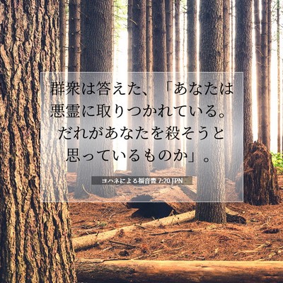 Picture 07 - ヨハネによる福音書 7:20 JPN - 群衆は答えた、「あなたは悪霊に取 - Bible Verse Picture