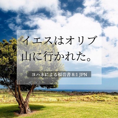 Picture 07 - ヨハネによる福音書 8:1 JPN - イエスはオリブ山に行かれた。 - Bible Verse Picture