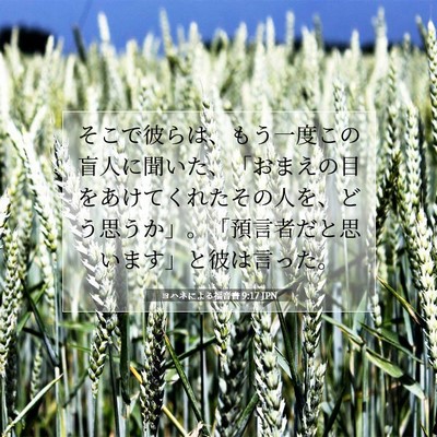 Picture 07 - ヨハネによる福音書 9:17 JPN - そこで彼らは、もう一度この盲人に - Bible Verse Picture