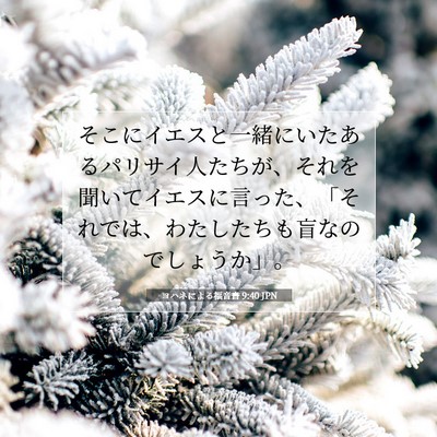 Picture 07 - ヨハネによる福音書 9:40 JPN - そこにイエスと一緒にいたあるパリ - Bible Verse Picture