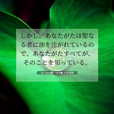 Picture 07 - ヨハネの第一の手紙 2:20 JPN - しかし、あなたがたは聖なる者に油 - Bible Verse Picture
