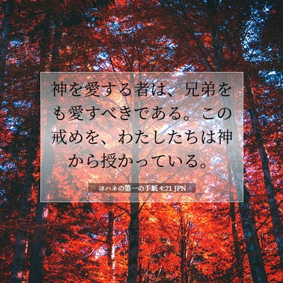 Picture 07 - ヨハネの第一の手紙 4:21 JPN - 神を愛する者は、兄弟をも愛すべき - Bible Verse Picture