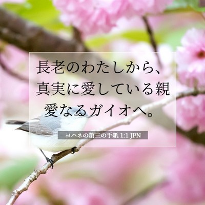 Picture 07 - ヨハネの第三の手紙 1:1 JPN - 長老のわたしから、真実に愛してい - Bible Verse Picture