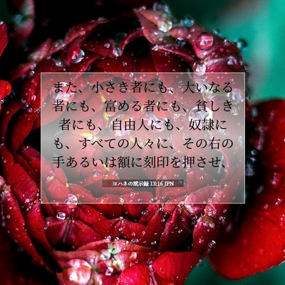 Picture 07 - ヨハネの黙示録 13:16 JPN - また、小さき者にも、大いなる者に - Bible Verse Picture