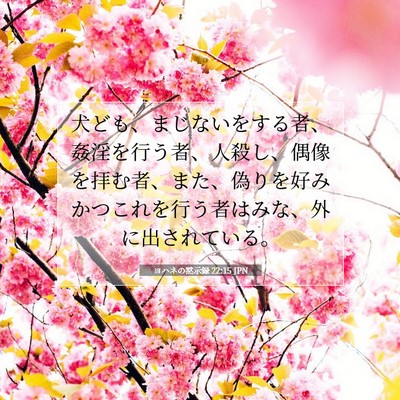 Picture 07 - ヨハネの黙示録 22:15 JPN - 犬ども、まじないをする者、姦淫を - Bible Verse Picture