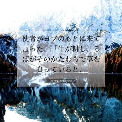 Picture 07 - ヨブ記 1:14 JPN - 使者がヨブのもとに来て言った、「 - Bible Verse Picture