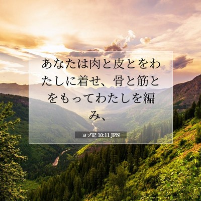 Picture 07 - ヨブ記 10:11 JPN - あなたは肉と皮とをわたしに着せ、 - Bible Verse Picture