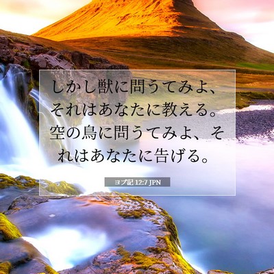 Picture 07 - ヨブ記 12:7 JPN - しかし獣に問うてみよ、それはあな - Bible Verse Picture