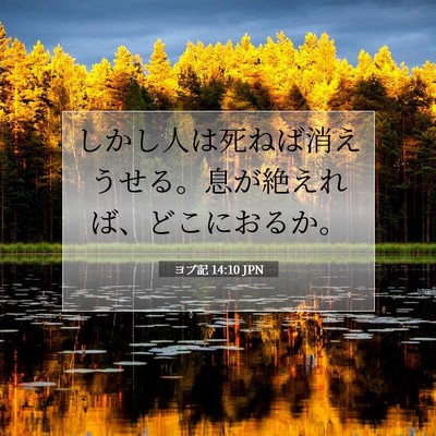 Picture 07 - ヨブ記 14:10 JPN - しかし人は死ねば消えうせる。息が - Bible Verse Picture