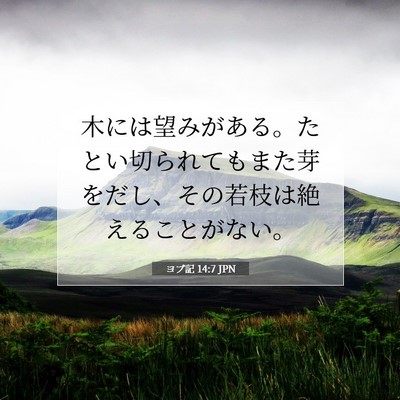 Picture 07 - ヨブ記 14:7 JPN - 木には望みがある。たとい切られて - Bible Verse Picture