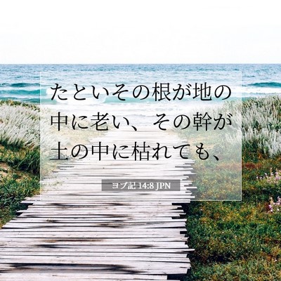 Picture 07 - ヨブ記 14:8 JPN - たといその根が地の中に老い、その - Bible Verse Picture