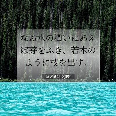 Picture 07 - ヨブ記 14:9 JPN - なお水の潤いにあえば芽をふき、若 - Bible Verse Picture