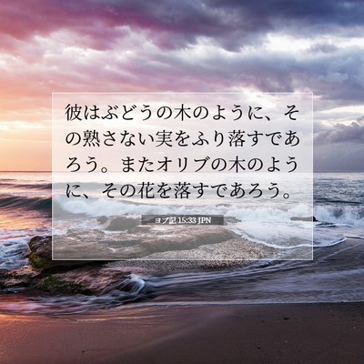 Picture 07 - ヨブ記 15:33 JPN - 彼はぶどうの木のように、その熟さ - Bible Verse Picture