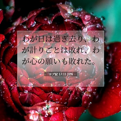 Picture 07 - ヨブ記 17:11 JPN - わが日は過ぎ去り、わが計りごとは - Bible Verse Picture