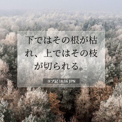Picture 07 - ヨブ記 18:16 JPN - 下ではその根が枯れ、上ではその枝 - Bible Verse Picture