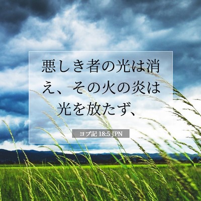 Picture 07 - ヨブ記 18:5 JPN - 悪しき者の光は消え、その火の炎は - Bible Verse Picture