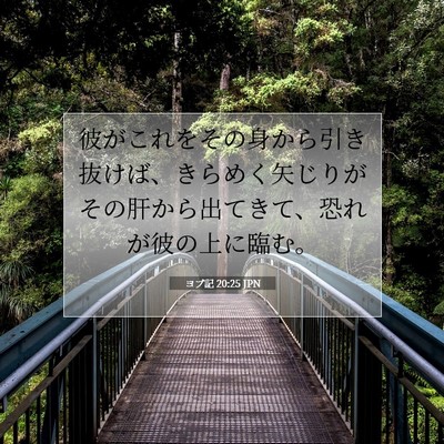 Picture 07 - ヨブ記 20:25 JPN - 彼がこれをその身から引き抜けば、 - Bible Verse Picture