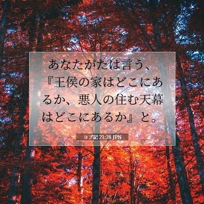 Picture 07 - ヨブ記 21:28 JPN - あなたがたは言う、『王侯の家はど - Bible Verse Picture