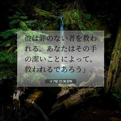 Picture 07 - ヨブ記 22:30 JPN - 彼は罪のない者を救われる。あなた - Bible Verse Picture