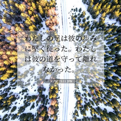 Picture 07 - ヨブ記 23:11 JPN - わたしの足は彼の歩みに堅く従った - Bible Verse Picture