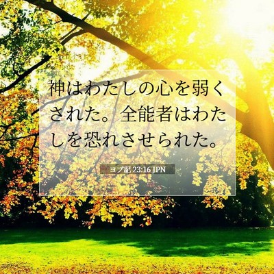 Picture 07 - ヨブ記 23:16 JPN - 神はわたしの心を弱くされた。全能 - Bible Verse Picture